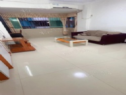 �Ĳ���԰�в�������������ȫ�������ס