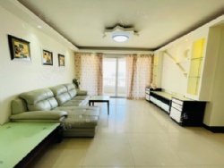 ��Ȧ��С�����ݾ�װ������