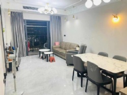 ���������и߲�101.15����װ��������115��