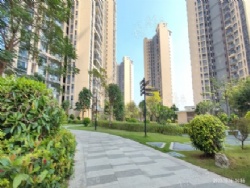 80�� ����2�� ��װ��С�� ���ݷ�Z