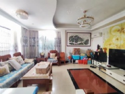 ���� �������100����԰ 200��245��