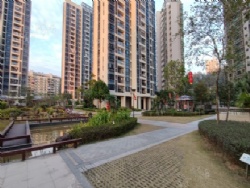 �ϳǼ�̩ С���Ͷ��� ��װ�� 72.8��