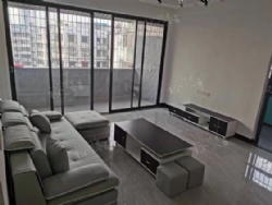 ���������   ������������ 55�� ​