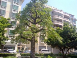 ��¥50��¶̨ ������Է �ϱ����� 60��