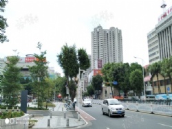 3���׸� �����㳡�� ���سǾ�װ���� 36.8��