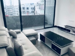 �ڽ��г����е��ݵ�����װ����