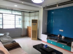 ��԰�Իƽ�㾫װ�׼������