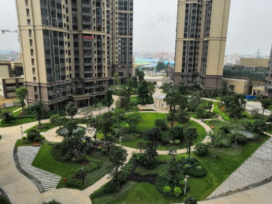 �⺣���ߣ�С������